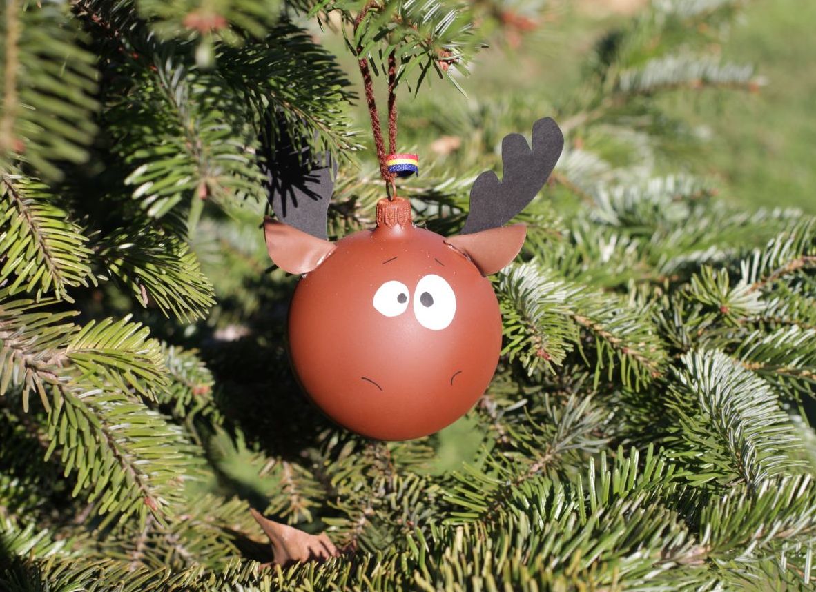 glob ren - Tracolla Handmade - martisoare, cutii postale personalizate, cani, bijuterii, globuri brad glob ren