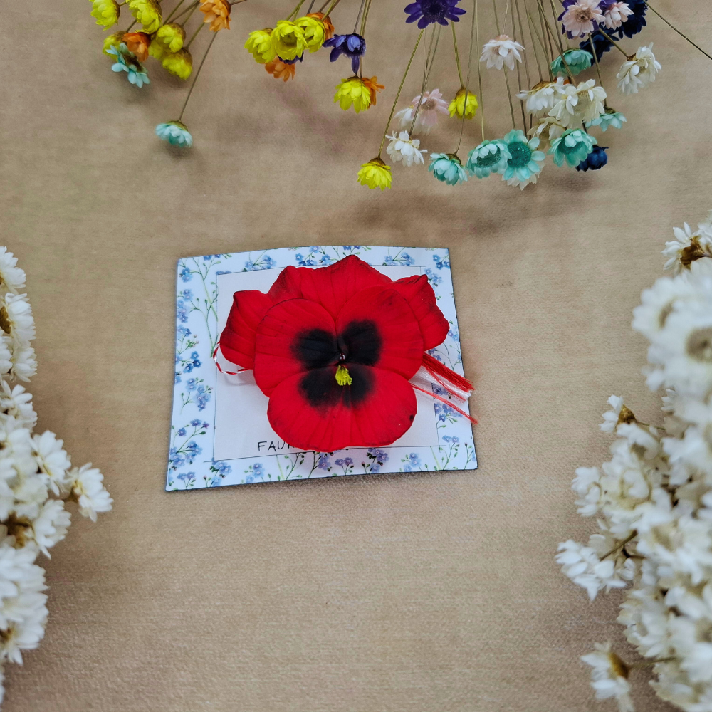 Panseluta brosa - Tracolla Handmade - martisoare, cutii postale personalizate, cani, bijuterii, globuri brad panseluta rosie