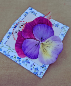 Martisor panseluta colorata