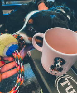 Alternative view of Cadou pentru ea/el